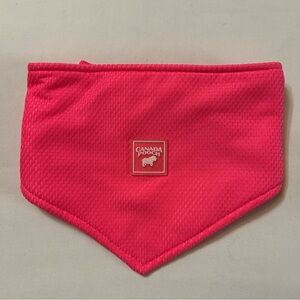 Medium Cooling Dog Bandana